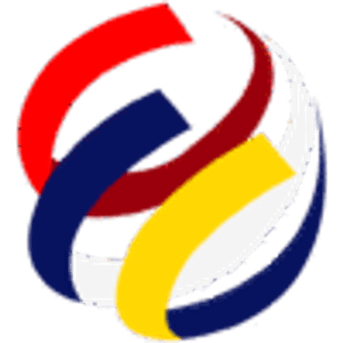 Swiss Bosnian Network Logo
